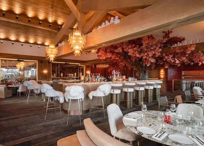 Daire Luxueux Au Centre De 1850 Avec Acces Et Navette - Fr-1-830-9